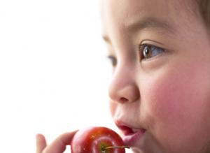 長岡市で外周塗装を依頼するなら斎藤塗装