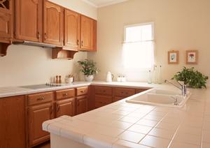 融雪のもたらす生活への支障・影響